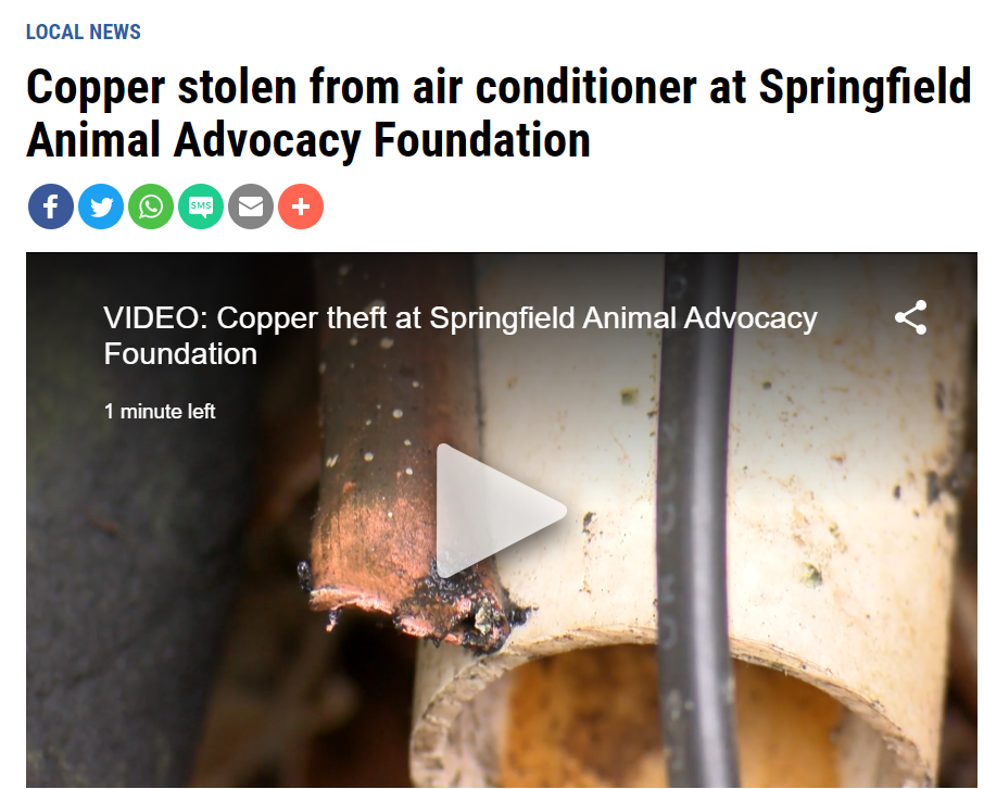 Springfield Animal Advocacy Foundation